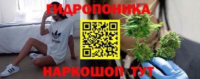 стаф Коммунар