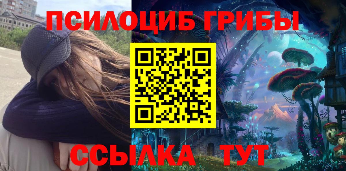 Галлюциногенные грибы прущие грибы Химки
