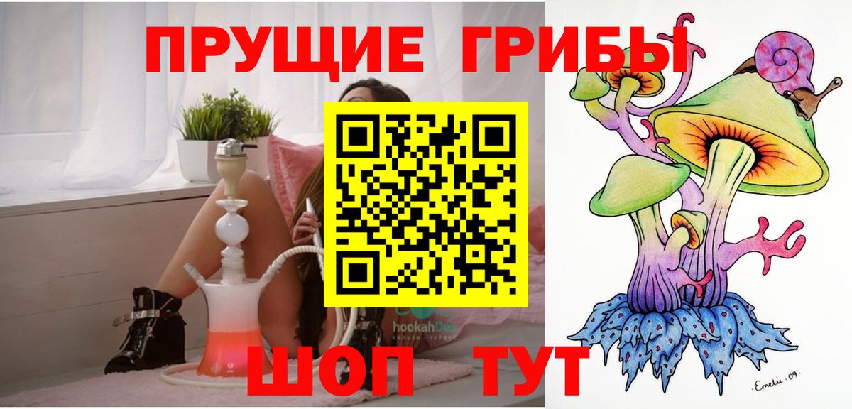 Химки  где найти   Вход с VPN  Псилоцибиновые грибы Cubensis  Галлюциногенные грибы GOLDEN TEACHER 